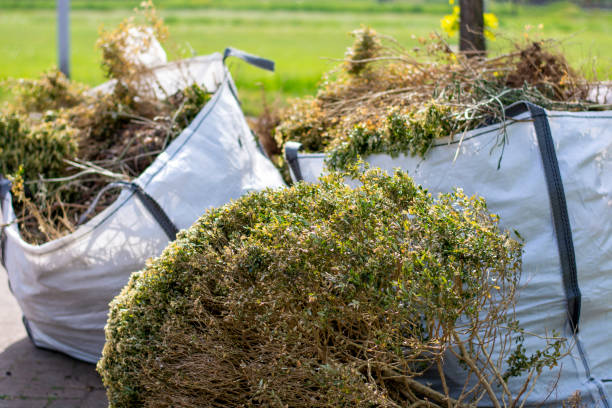Best Junk Hauling Services  in Abbeville, LA